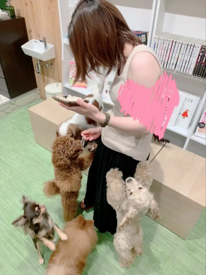 【わんこ好きさん必見!】puppy cafe RIO行ってきました♡癒されまくりスポット!_4