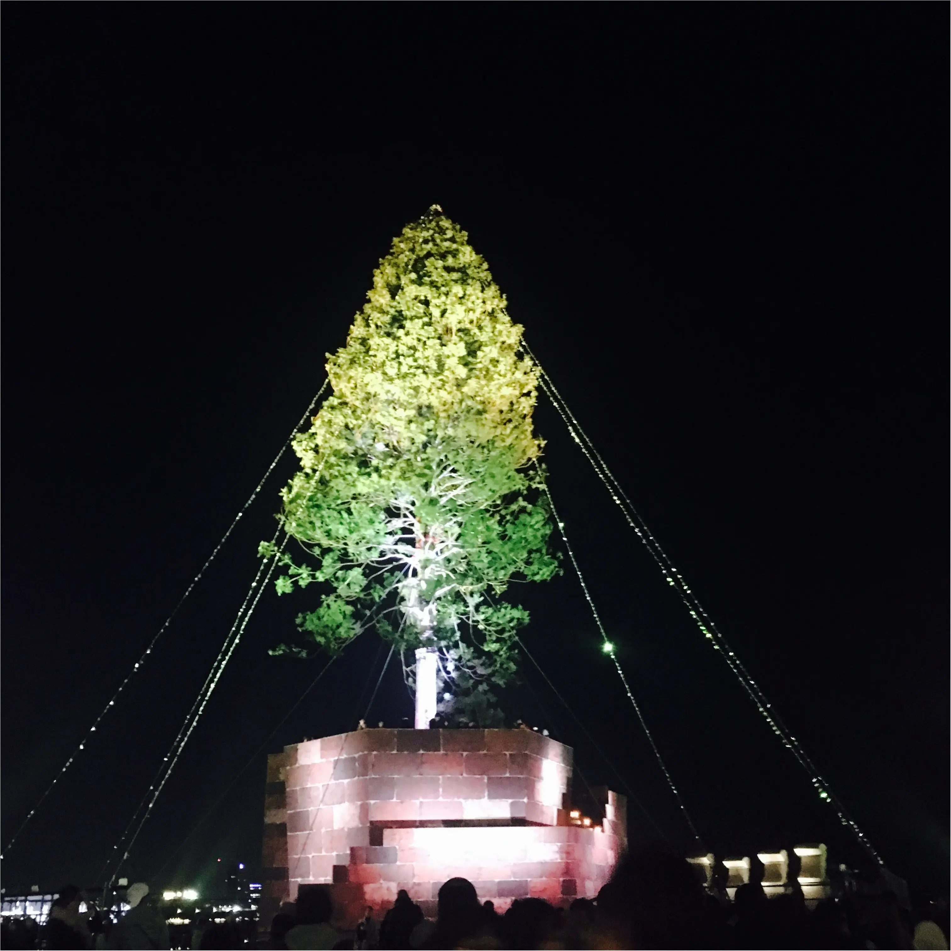 【神戸】で≪世界一高いクリスマスツリー≫が見れちゃうスポット!とってもオススメです!_6
