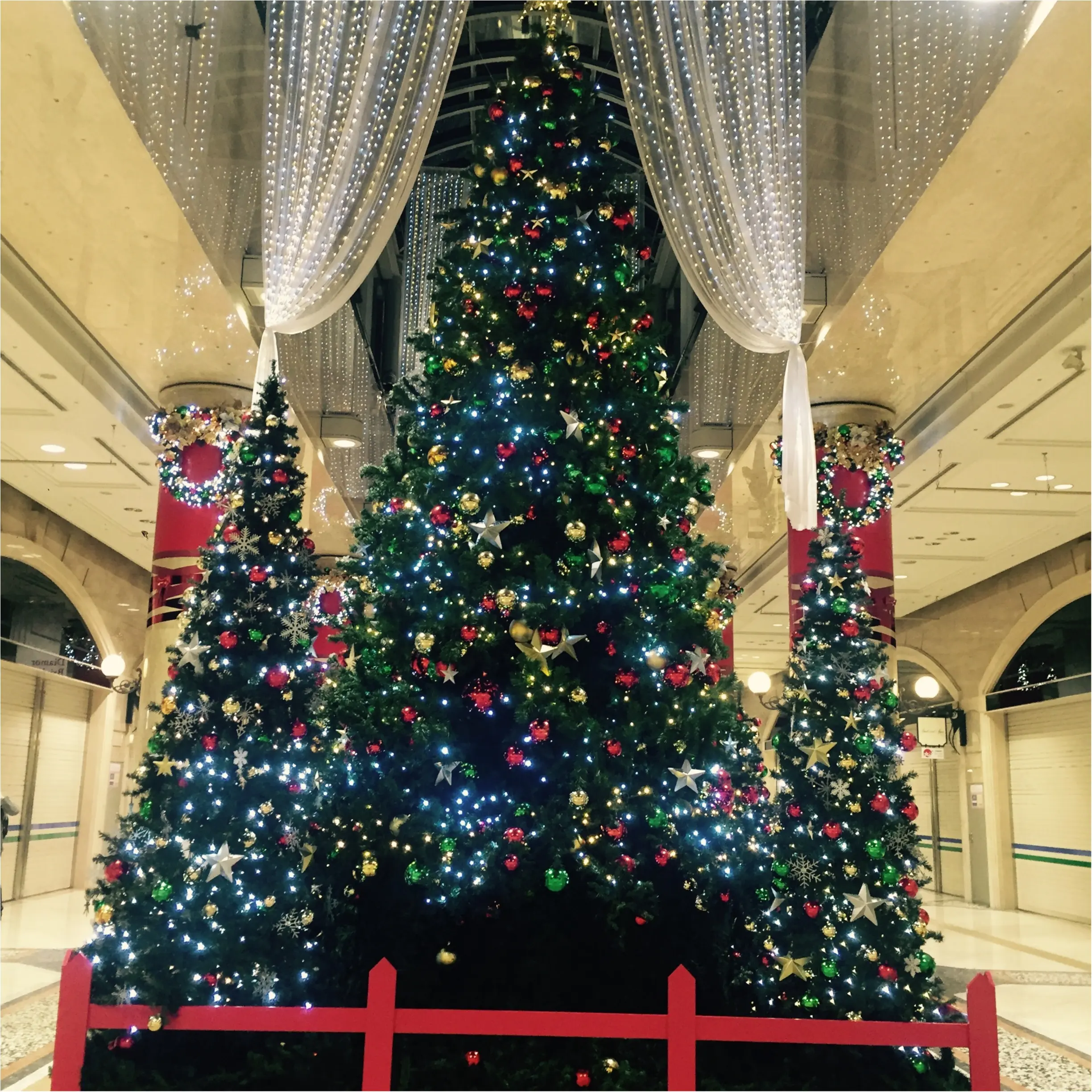 Xmas♡クリスマスツリー巡り♡_6