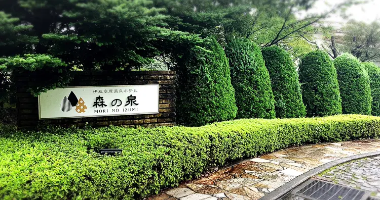 【伊豆】秋の旅にオススメ!お手頃価格なのに露天風呂付客室×豪華なお食事˚✧₊伊豆高原温泉ホテル 森の泉_10