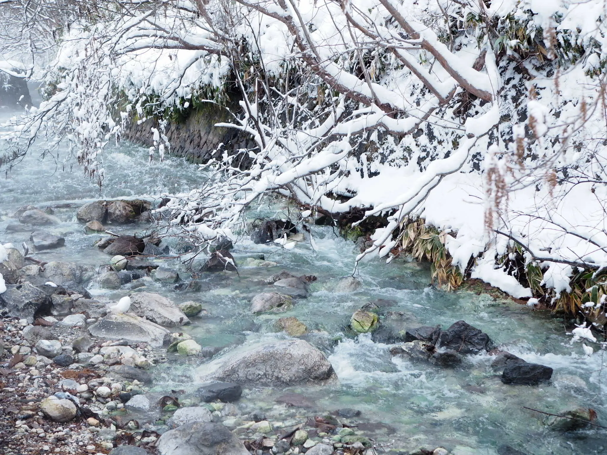 【草津温泉】湯もみショーと温泉が湧き出る西の河原公園♡_3