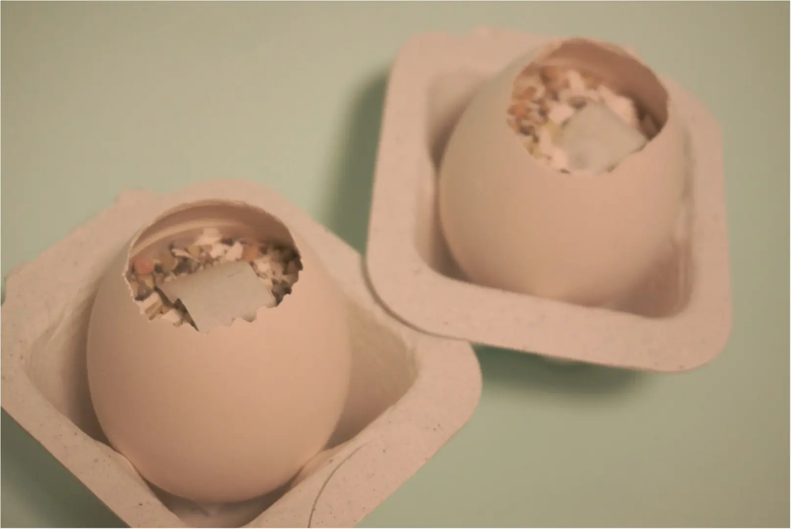 まるで本物のたまご⁉️egglingシリーズのワイルドストロベリーを育ててみよう( ´艸`)_5