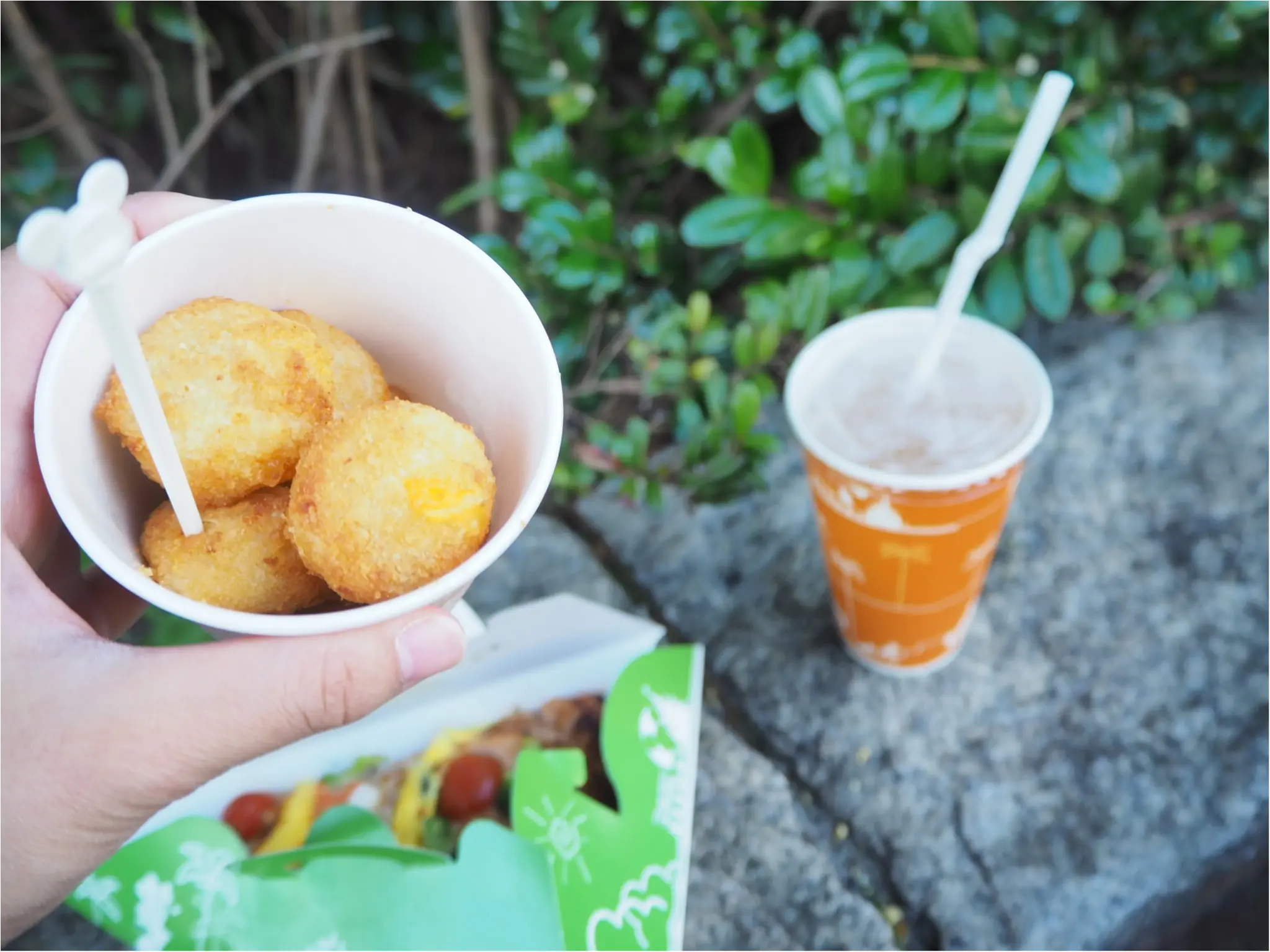 ディズニーランドクリスマスシーズン到来♪ー今の時期食べたいクリスマスグルメからお土産までー_8