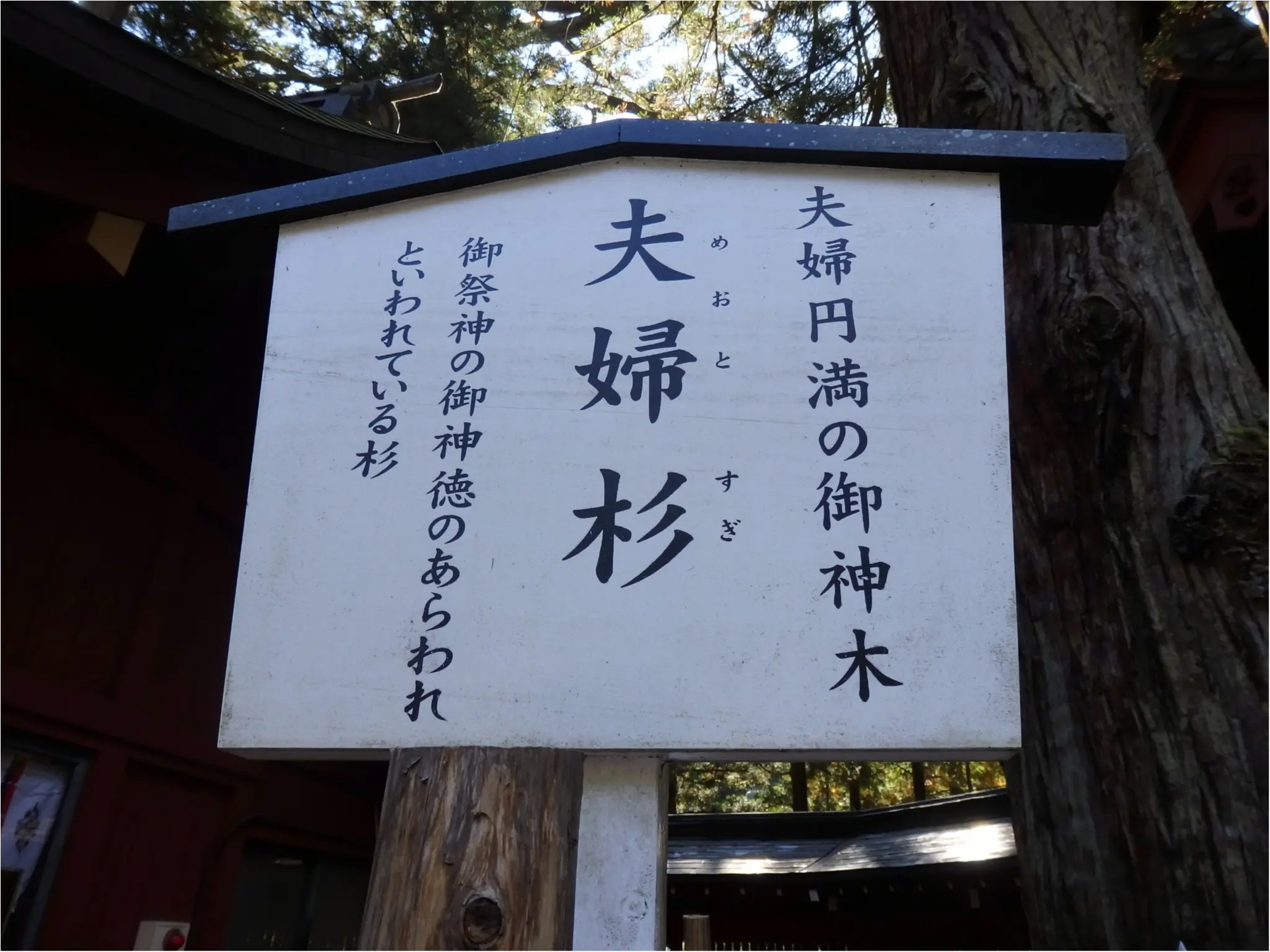 【知らなかった!】日本一楽しめる神社へ潜入してみた_9