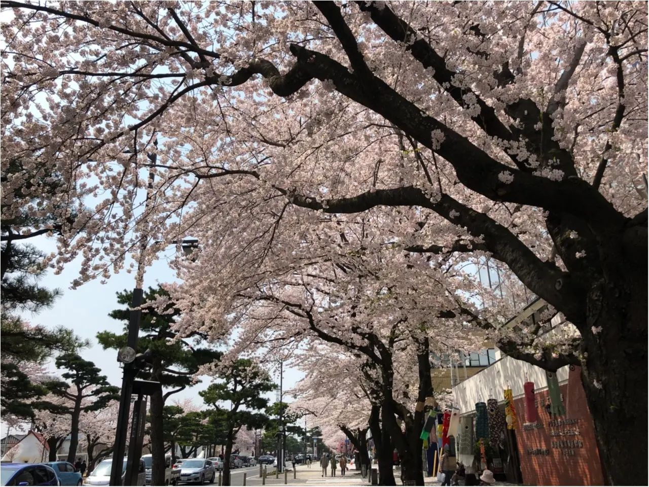 【あんバター好きのカフェ巡り】十和田の街中にある古民家カフェ『カフェミルマウンテン』で癒しのひとときを_5