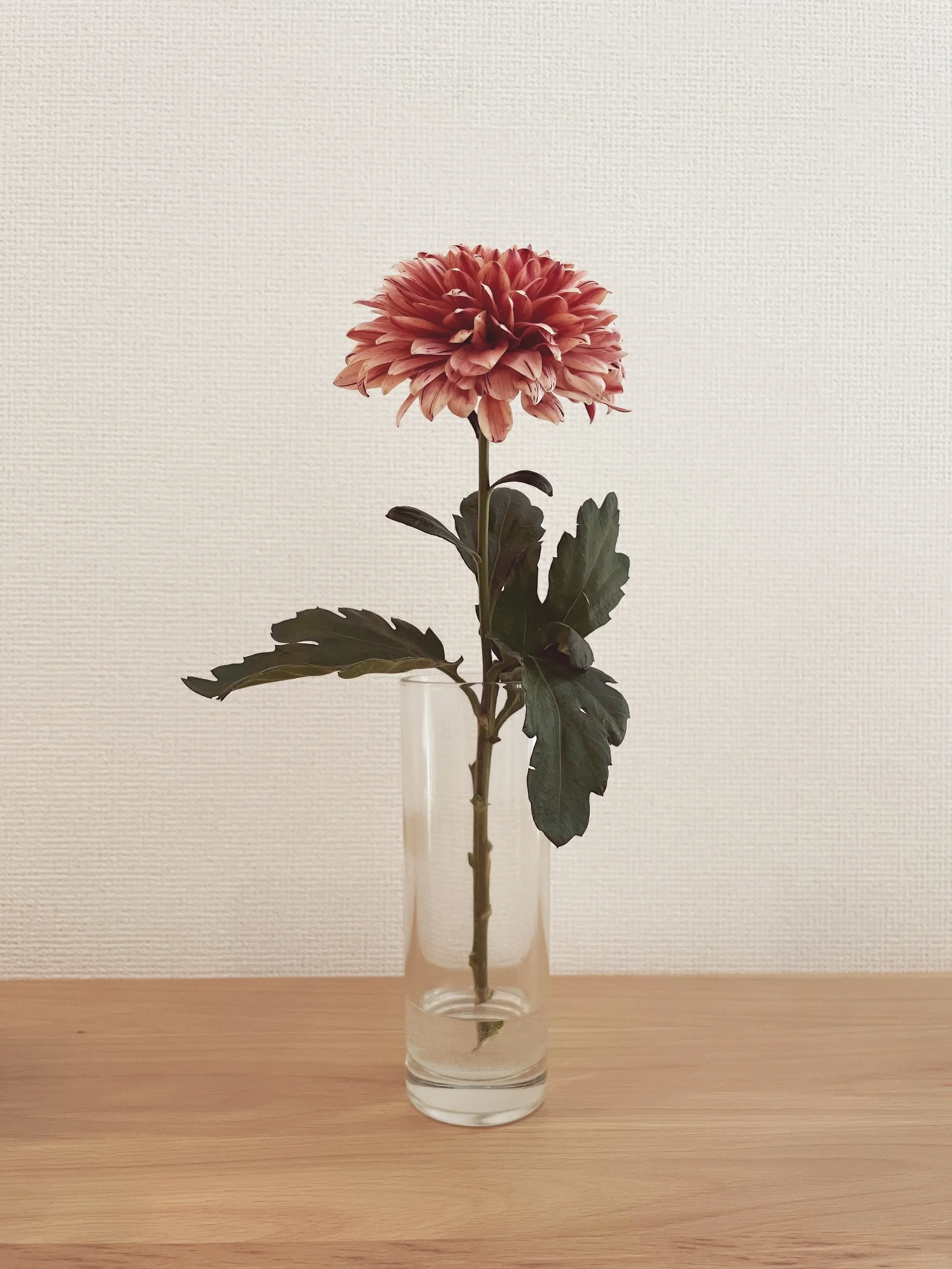 【おうち時間】お部屋に花を取り入れて癒し空間に♡_3