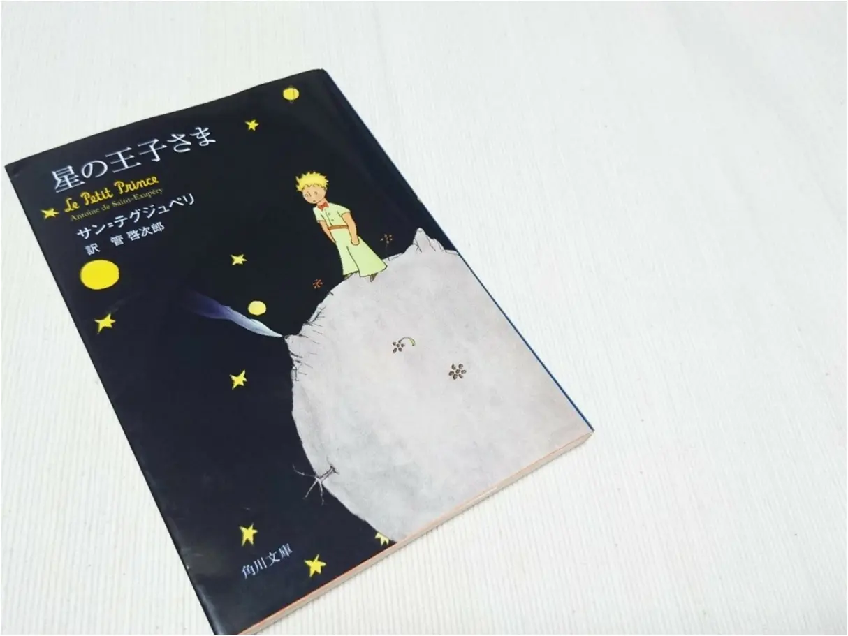 【おすすめの本】ふと、立ち止まってしまった時に、おすすめの一冊 ♪『星の王子さま ( The Little Prince )』_3