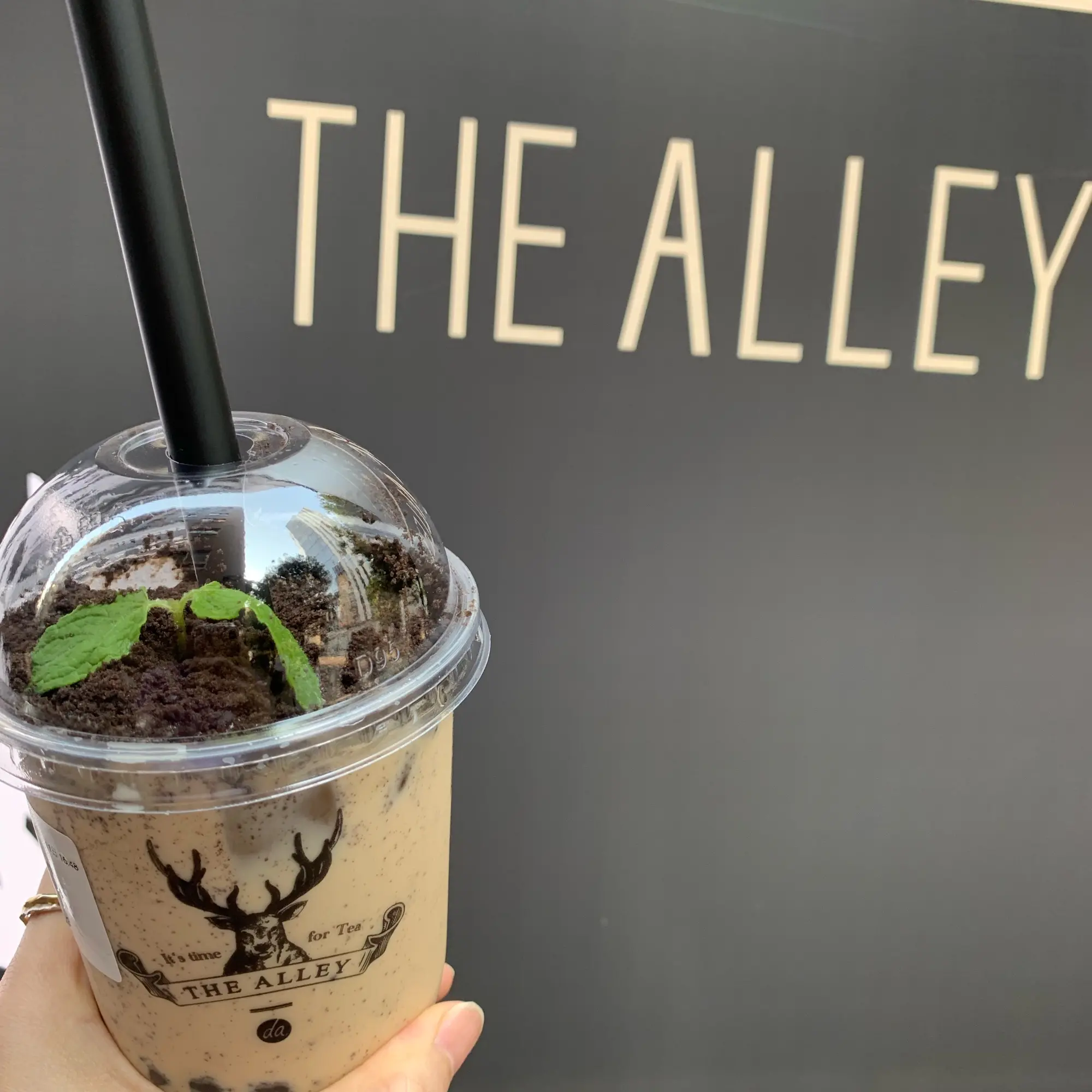 《写真映え❤️》【THE ALLEY(ジアレイ)】の盆栽タピオカミルクティーがおいしい☻_3