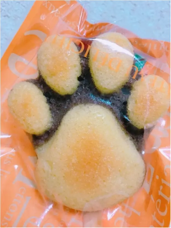 これな〜んだ( ´艸`)?_3