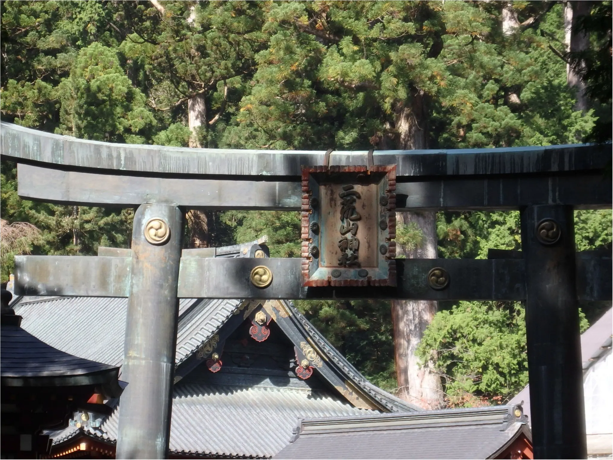 【知らなかった!】日本一楽しめる神社へ潜入してみた_18