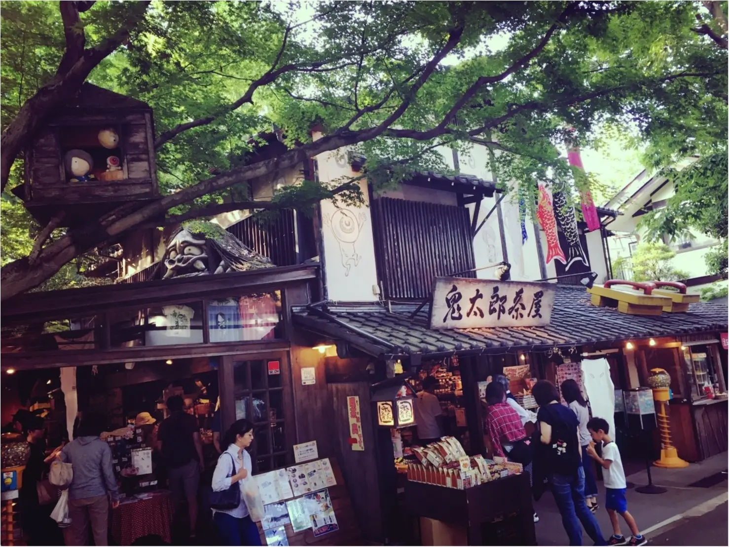 都会のオアシスとはこのこと!!お休みの日は癒しの空間でのんびりしよう_11