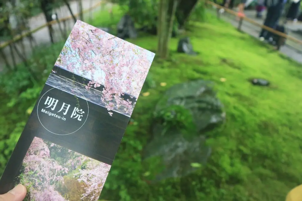 鎌倉の紫陽花名所特集 - 人気のあじさい寺「長谷寺」「名月院」などおすすめスポット_33