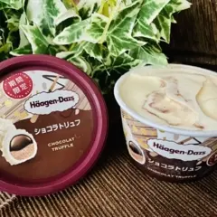 【ハーゲンダッツ】超豪華！3種類のチョコレートが味わえる《ショコラトリュフ》が美味♡