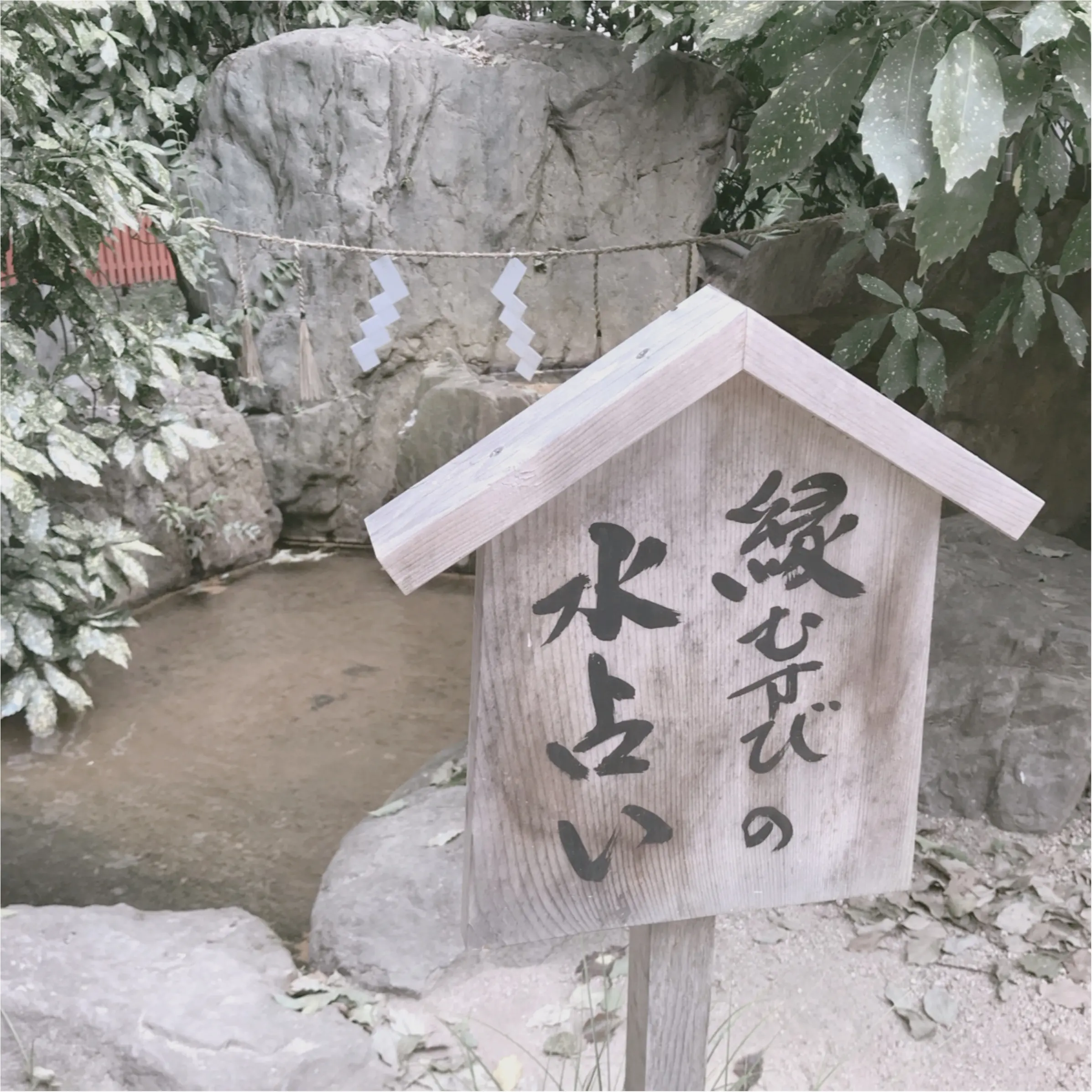 神戸の生田神社といえば縁結び❤︎新感覚【水みくじ】ができちゃうんです!_4