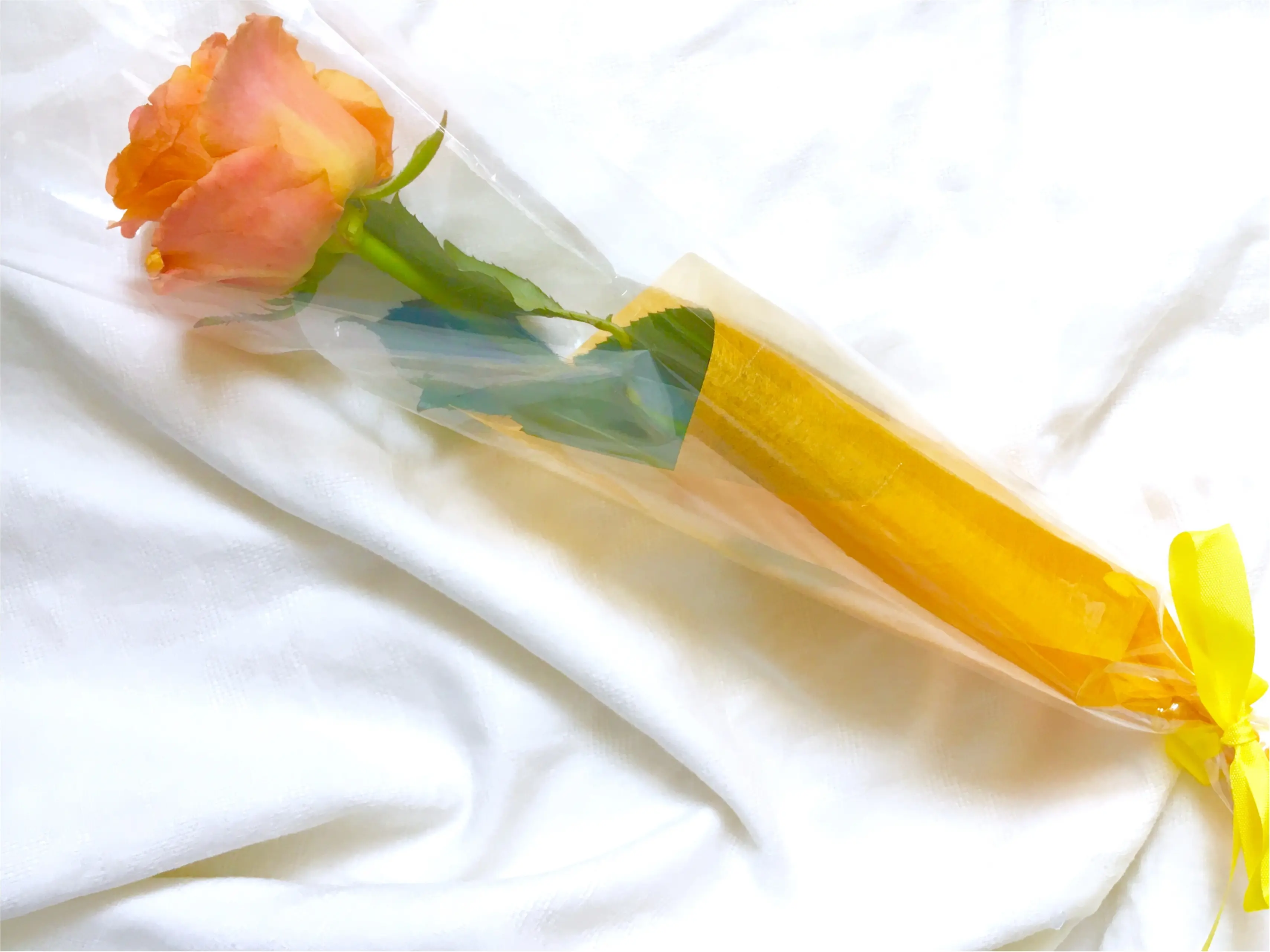 【SABON】初めての〇〇も登場!《初夏限定アイテム》が可愛すぎるんです❤️_6