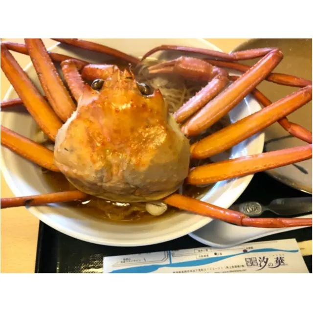 日帰りでも行ける!新潟オススメのドライブスポットをご紹介!_3