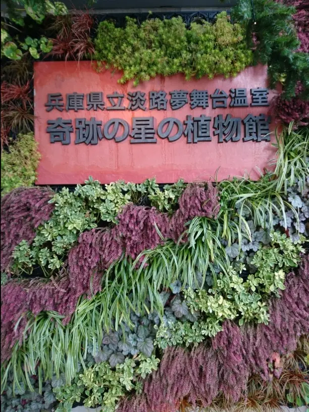 クリスマスシーズンに家族&カップルにお勧め!植物と光に彩られた奇跡の植物館_1