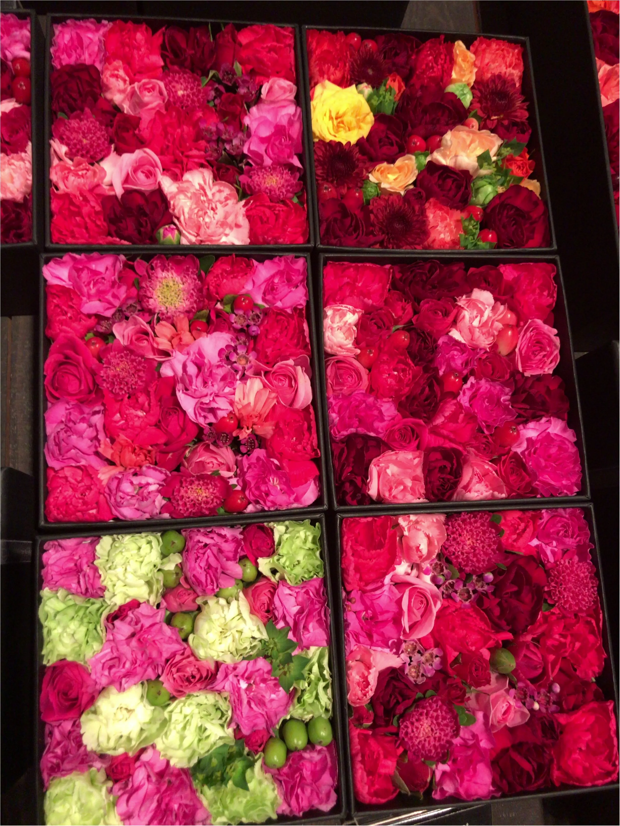 大好きなお花に囲まれて、、、☆☆☆_6