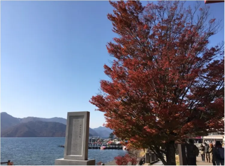 紅葉を見るならここに行くべし❤︎❢日帰り旅行ができちゃう♡絶景紅葉スポット♥◯◯に行ってきました♡ʾʾ_13