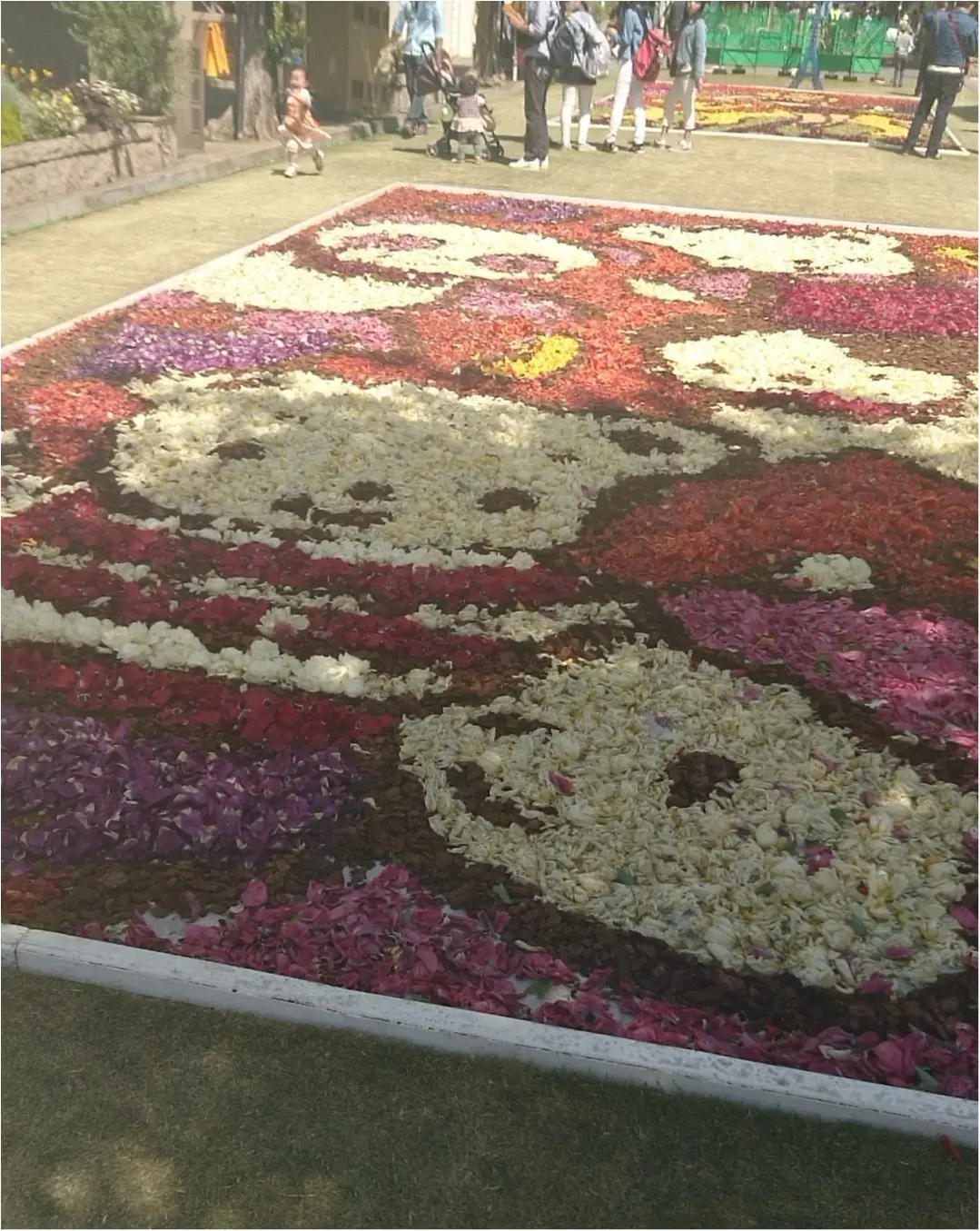 ≪兵庫県・神戸≫チューリップで彩る北野坂_3