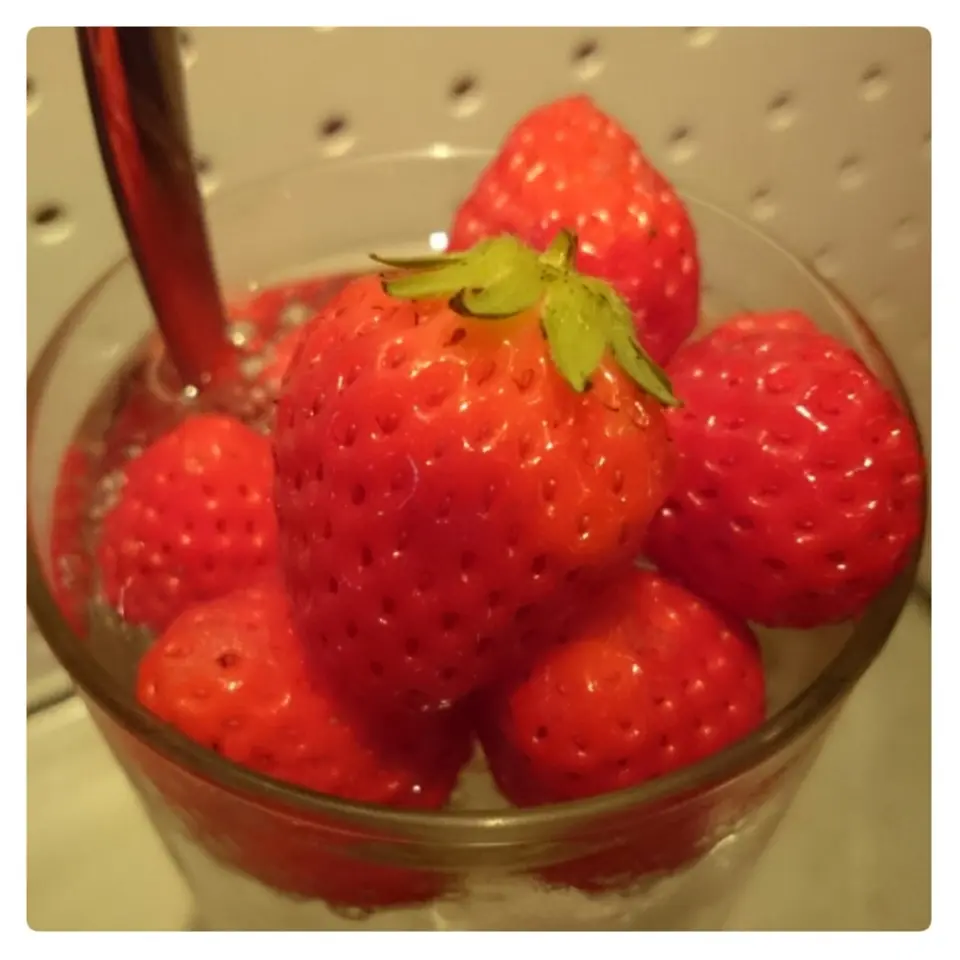 【京都に行ったらぜひ♡】フォトジェニックすぎるサワー専門店^^_6