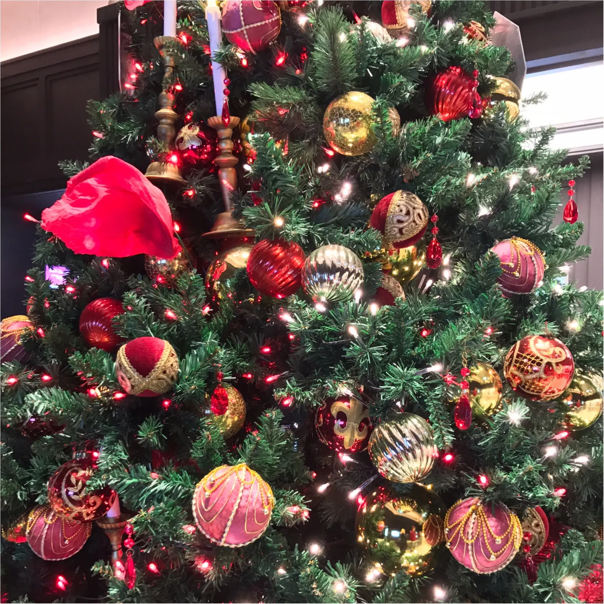 【美女と野獣】の世界に出会える❤︎TOKYU PLAZA GINZAでひと足お先にクリスマス気分☺︎_3