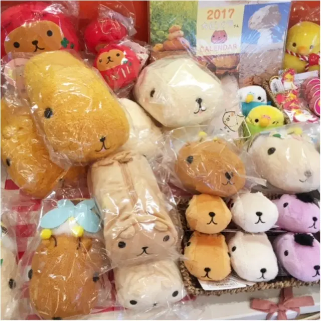 来年の干支に因んだコラボ♡『カピバラさん×ことりカフェ』に行ってきました(﹡´◡`﹡ )_6