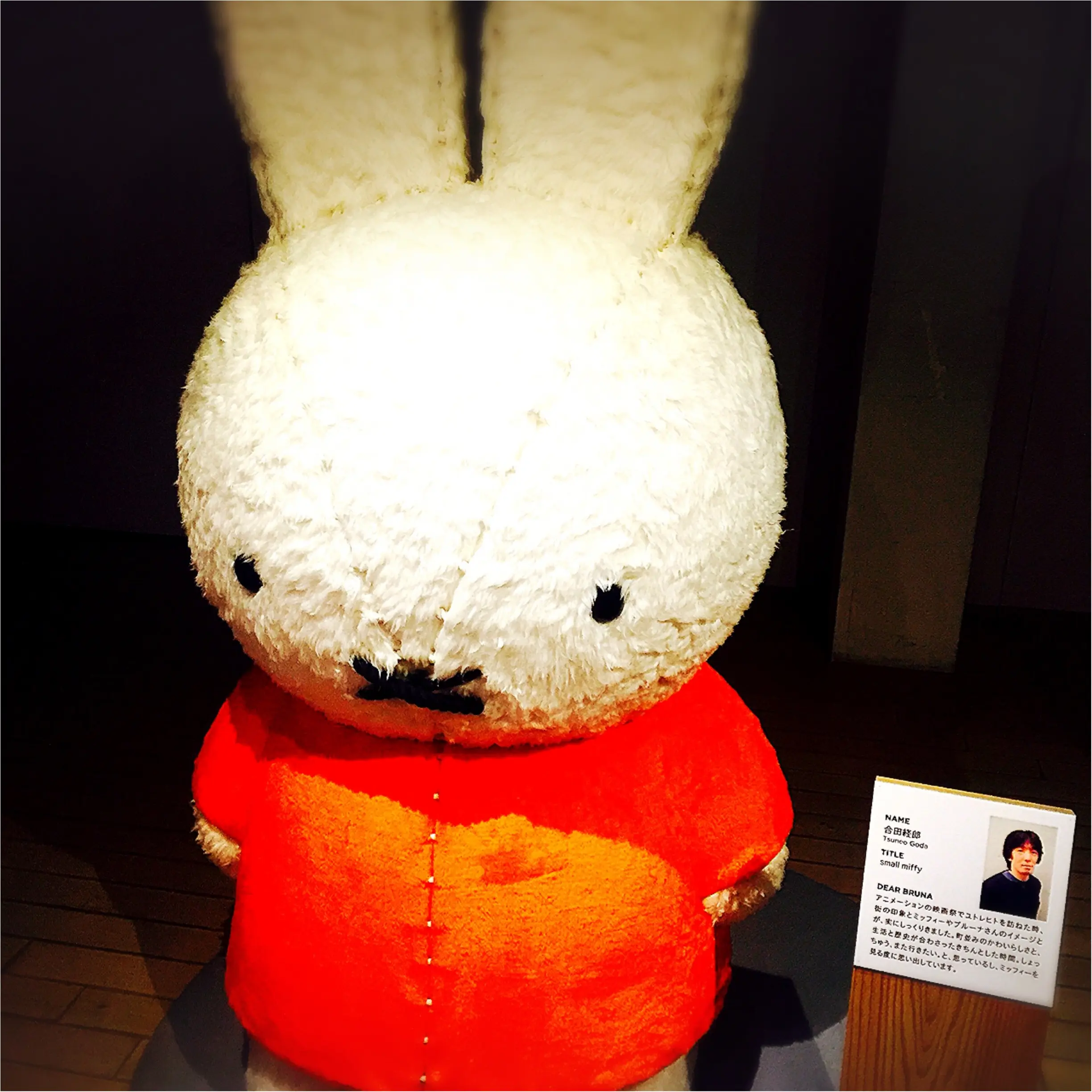 【8/24まで】生誕60周年♡ミッフィー展が横浜赤レンガ倉庫で開催中!_3
