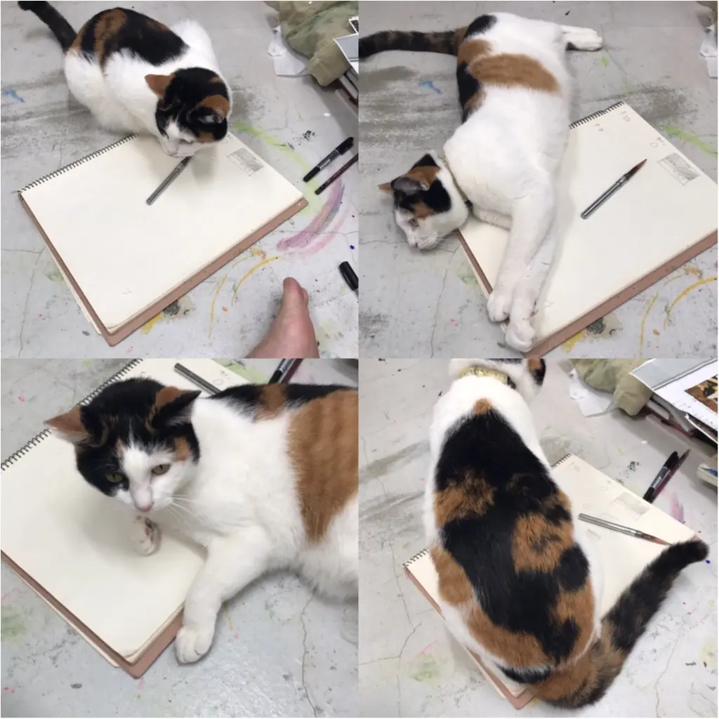 【今日のにゃんこ】絶対阻止しちゃうんだにゃ! ちよちゃんは、おじゃま虫_1