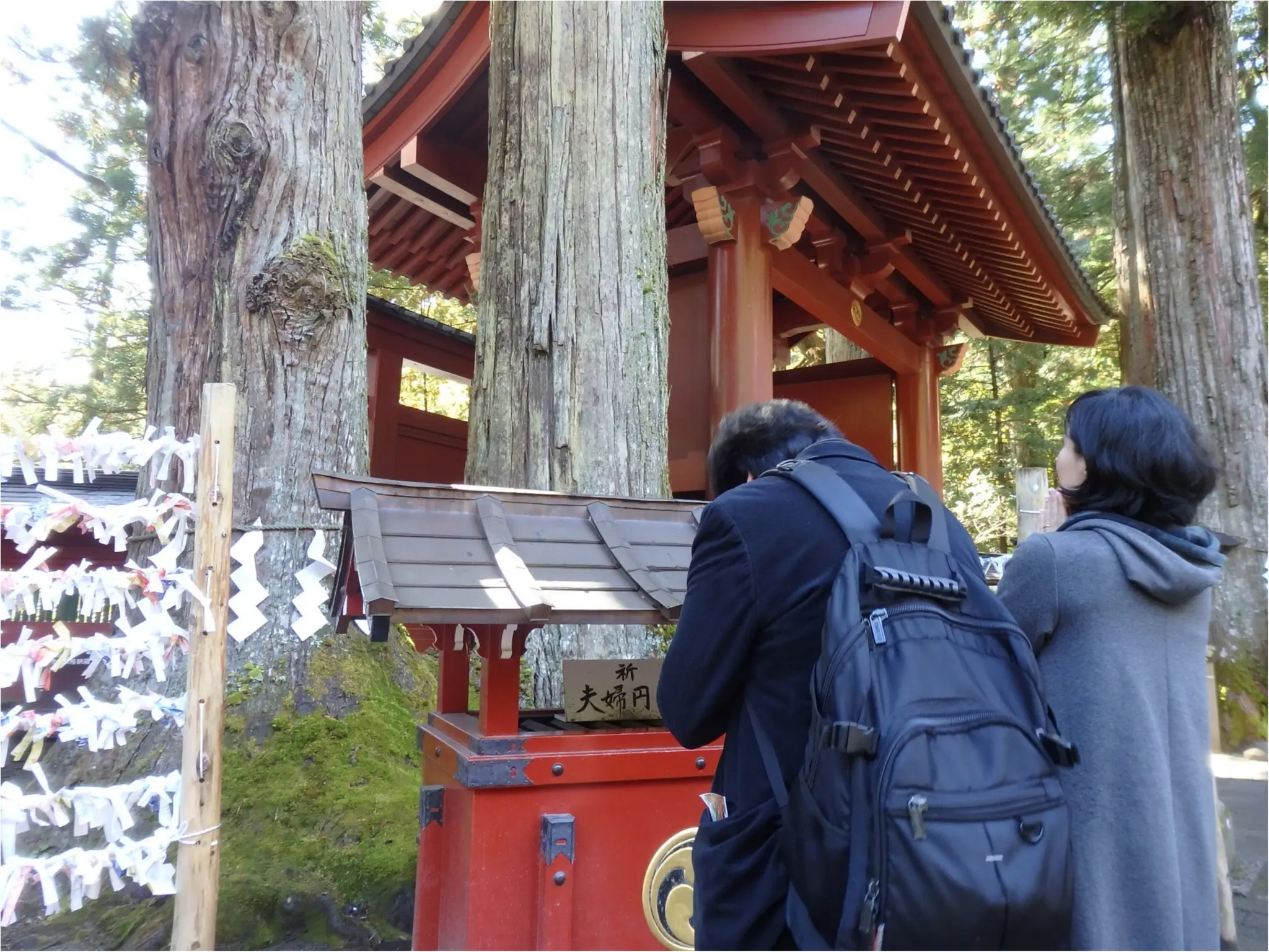 【知らなかった!】日本一楽しめる神社へ潜入してみた_11