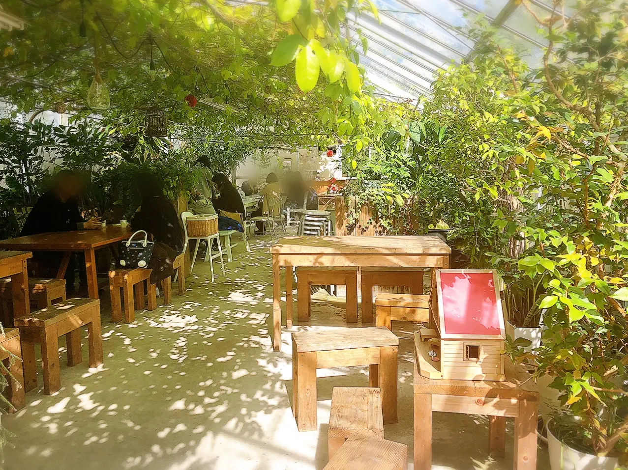 静岡 メロン農園直営 緑に包まれたガーデンのようなカフェが魅力 甘 いメロンをいただきました Moreインフルエンサーズブログ Daily More