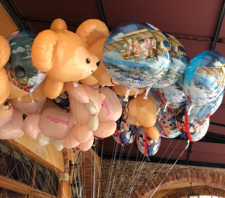 【TDS】新アトラクション《ソアリン》限定フード&グッズが可愛い♡_5
