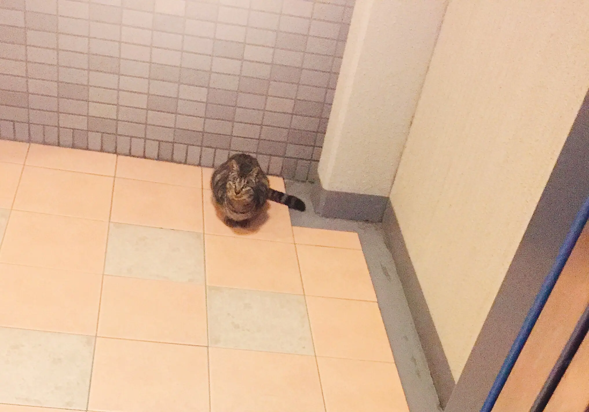 温もりを 分かち合うか… ?_1
