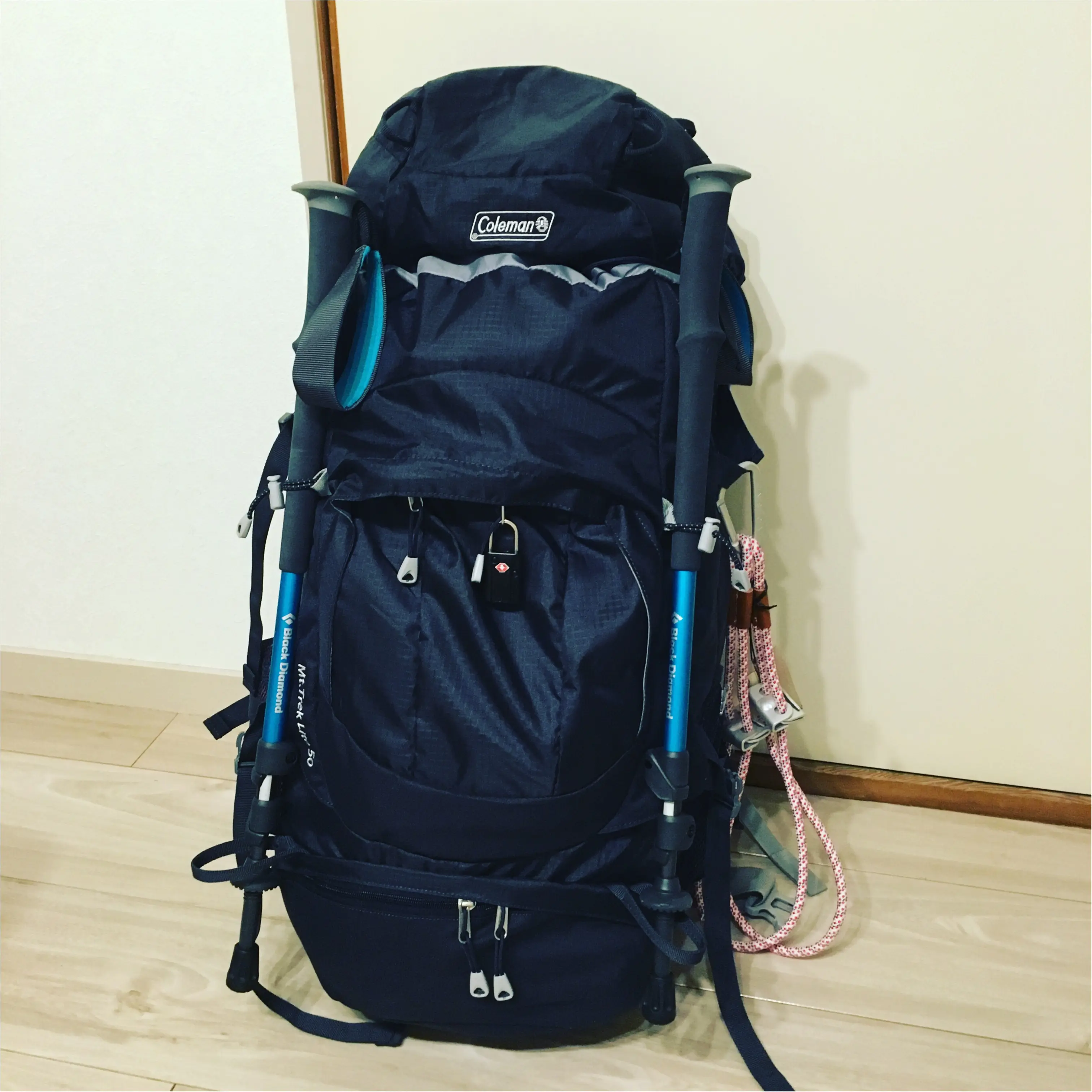 パリへ行ってきます!_1