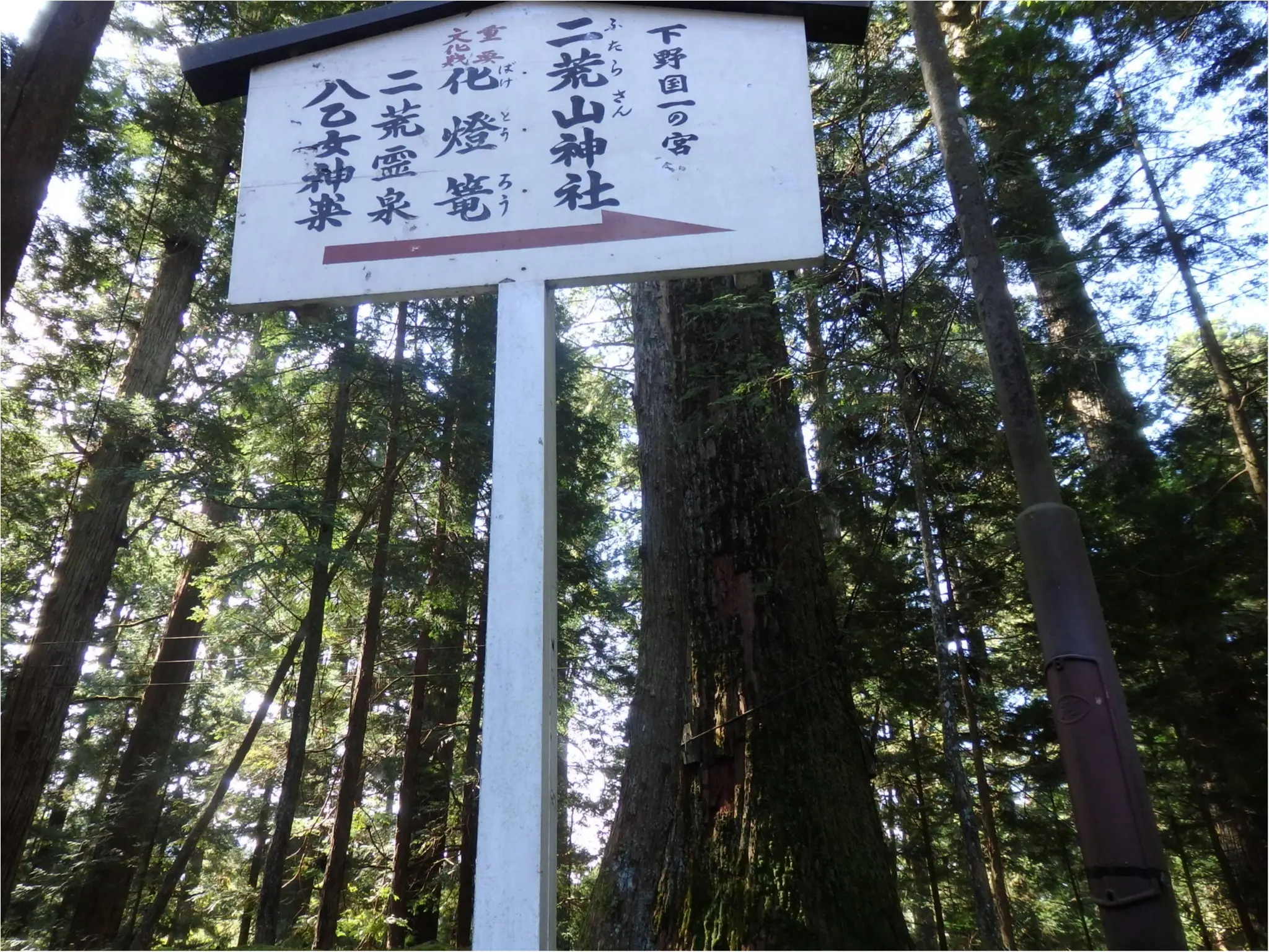 【知らなかった!】日本一楽しめる神社へ潜入してみた_6