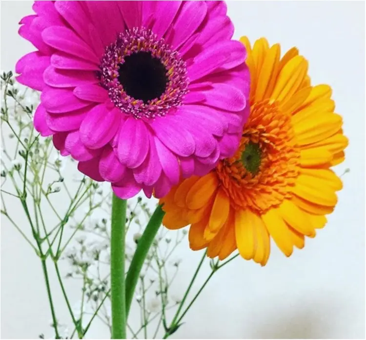 《花のある暮らし♡》春に向けてお家にお花を置いてみませんか♡?_1