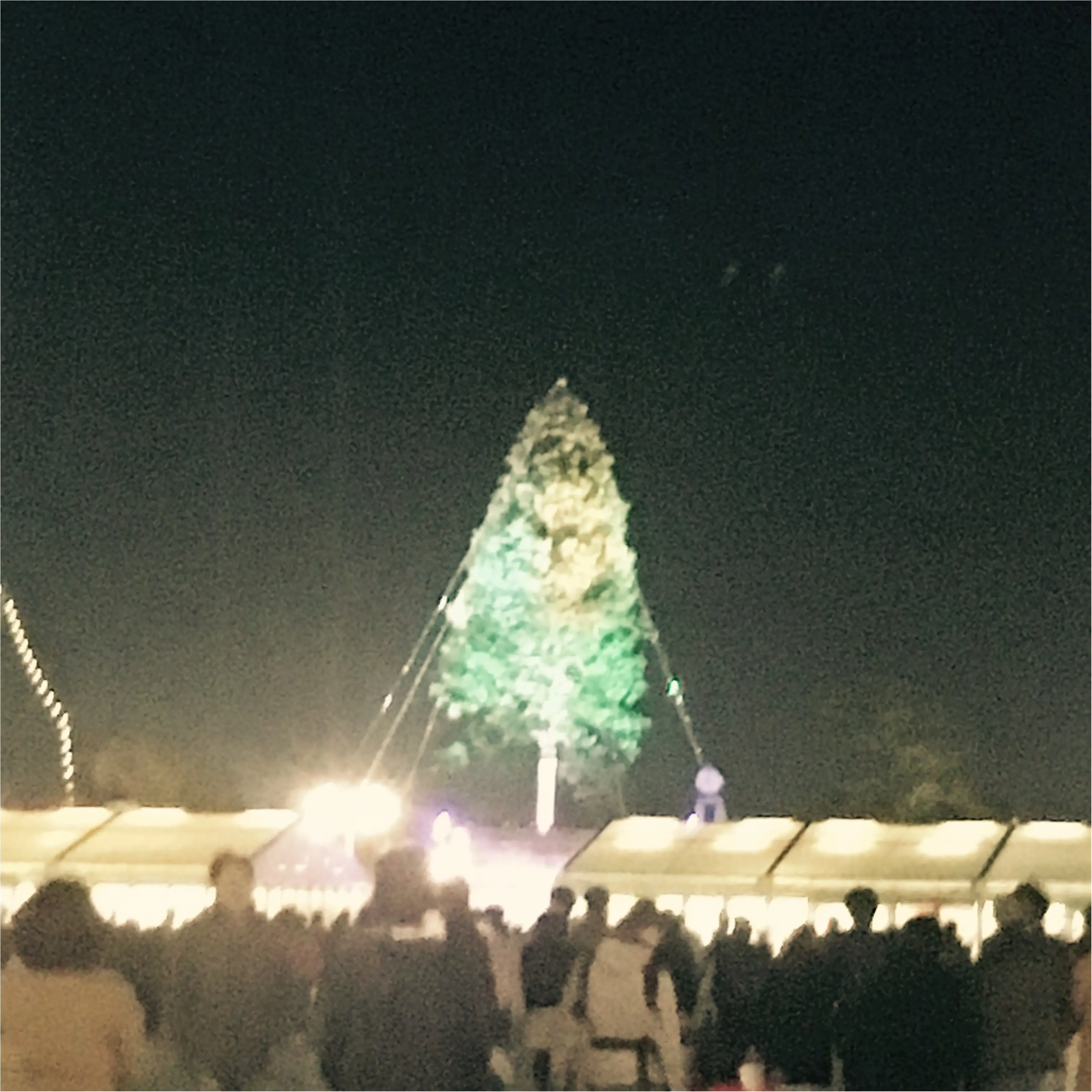 【神戸】で≪世界一高いクリスマスツリー≫が見れちゃうスポット!とってもオススメです!_3