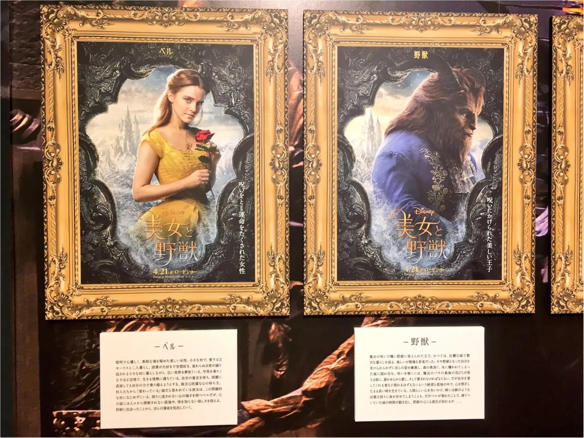本物の衣装がついに来日!『美女と野獣』の世界展 at GINZA MITSUKOSHIに行ってきました♡_7