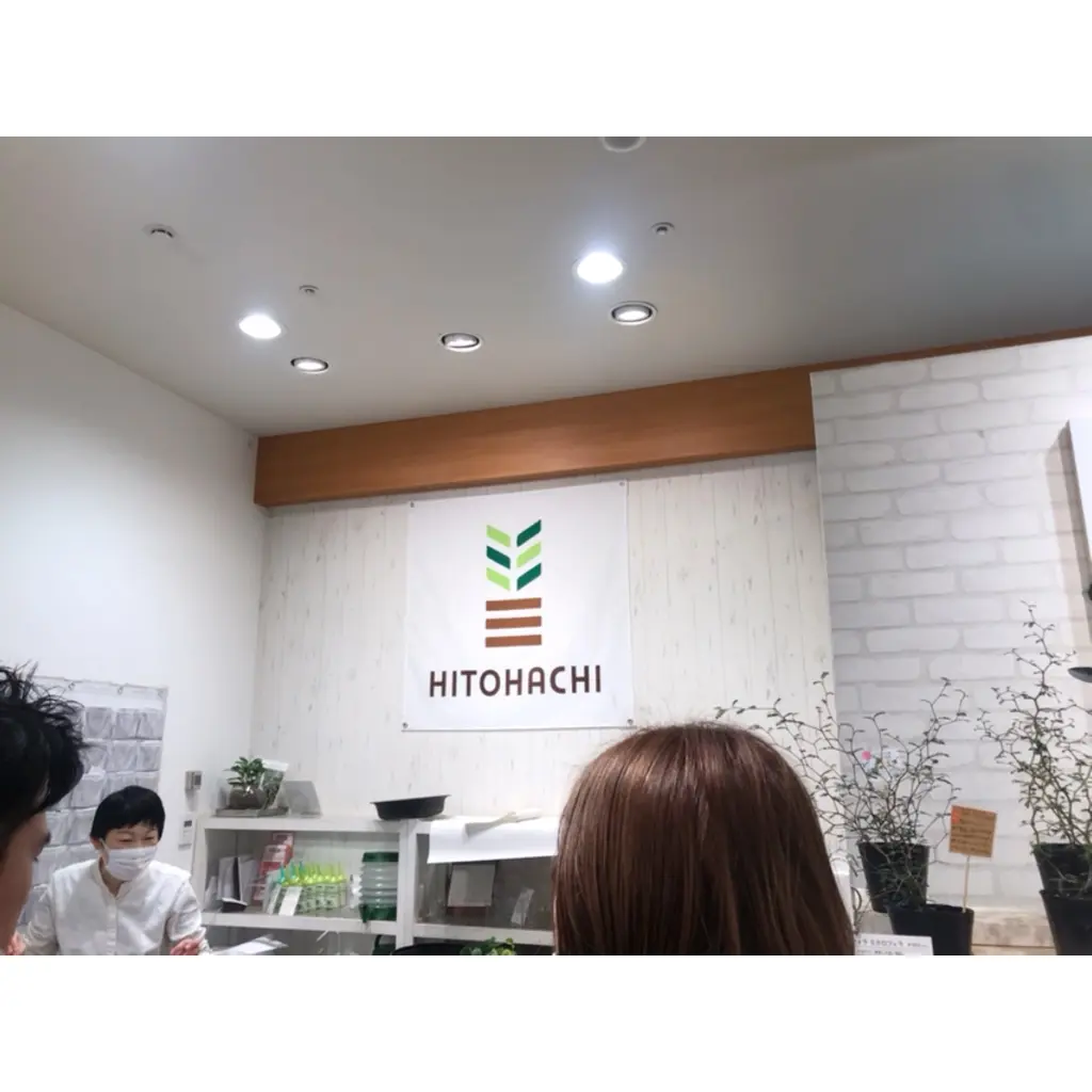 【インテリア】観葉植物のあるお部屋でリフレッシュ空間を作る!HITOHACHI紹介!_4