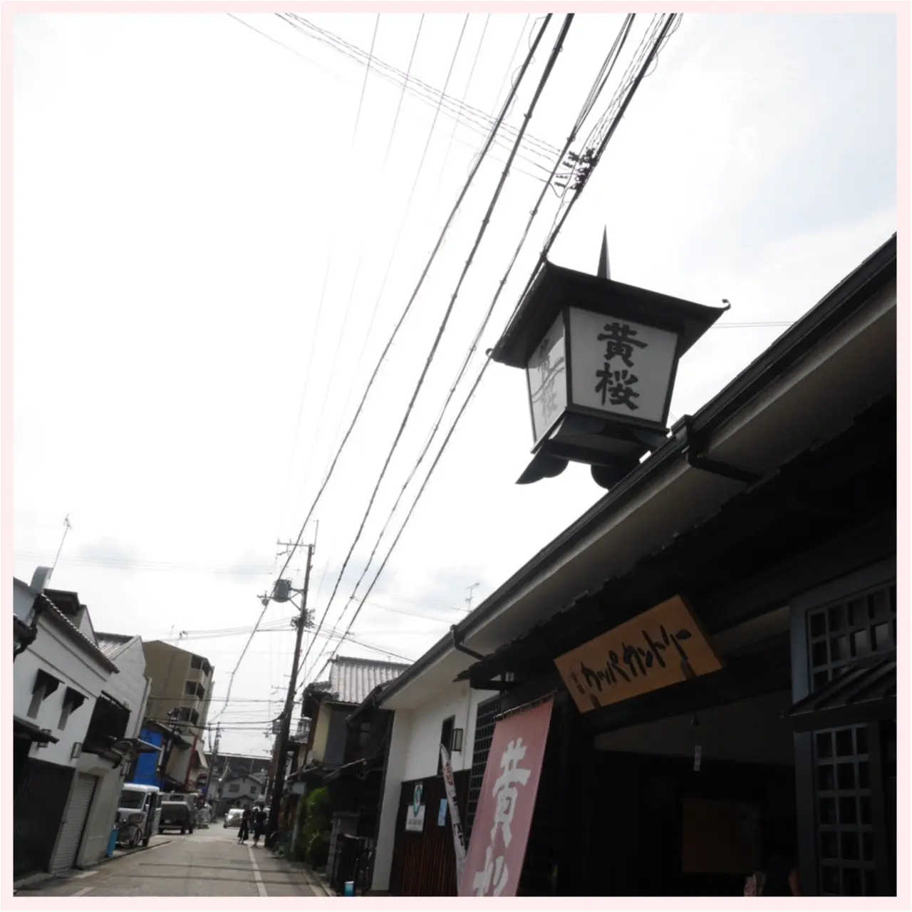 京都伏見 日本酒酒蔵めぐり _7