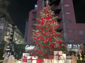 【クリスマス】表参道エリアで出会える《Cartier》の真っ赤なクリスマスツリー