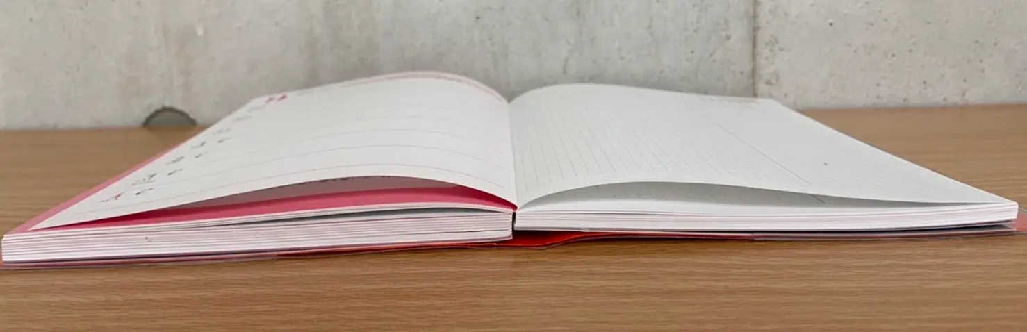 もう買った 働く女性におすすめの22年手帳4選 Moreインフルエンサーズブログ Daily More もう買った 働く女性におすすめの22年手帳4選 Moreインフルエンサーズブログ Daily More