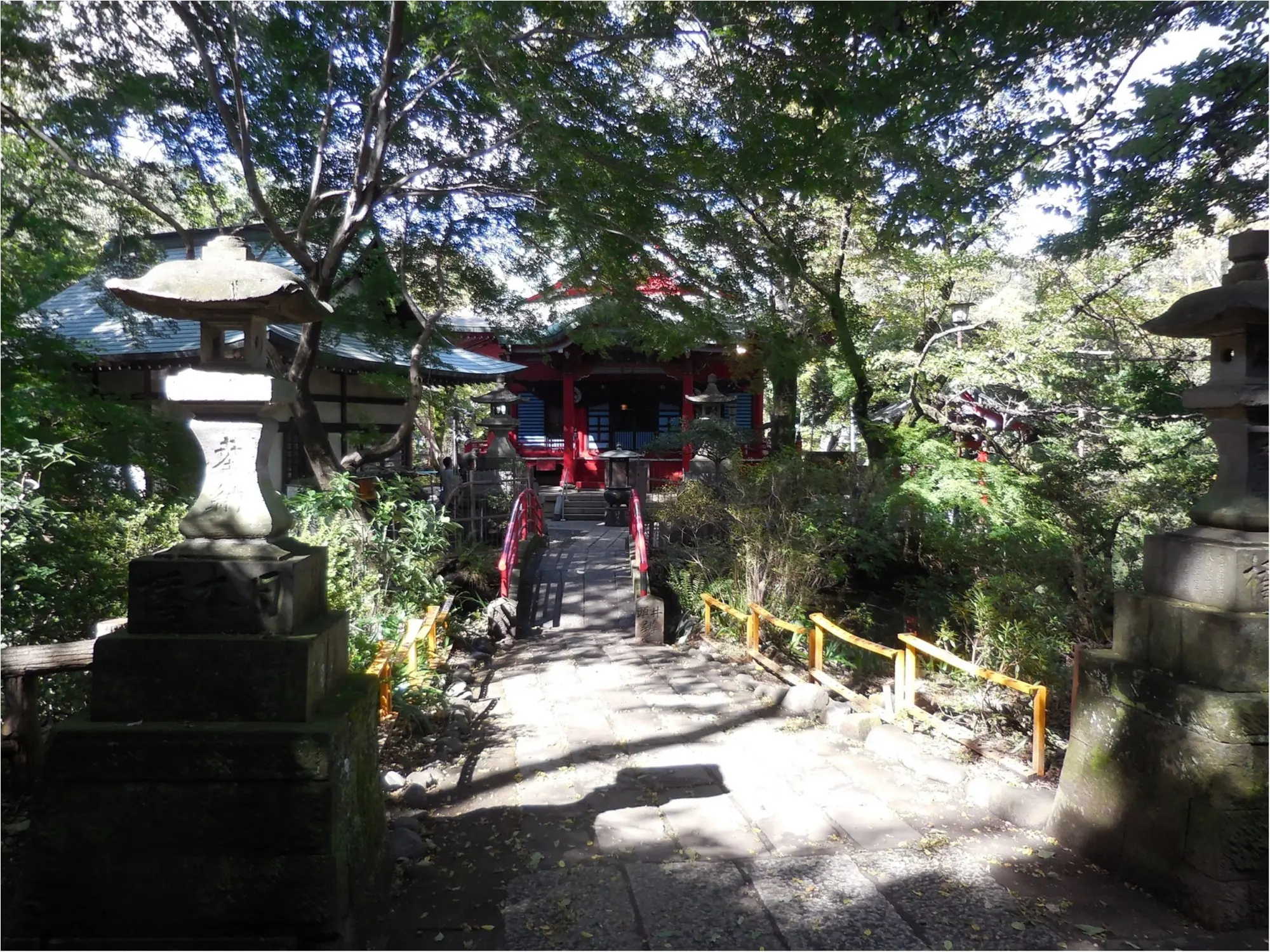 【吉祥寺井の頭公園】ひさしぶりに歩いてきました_4