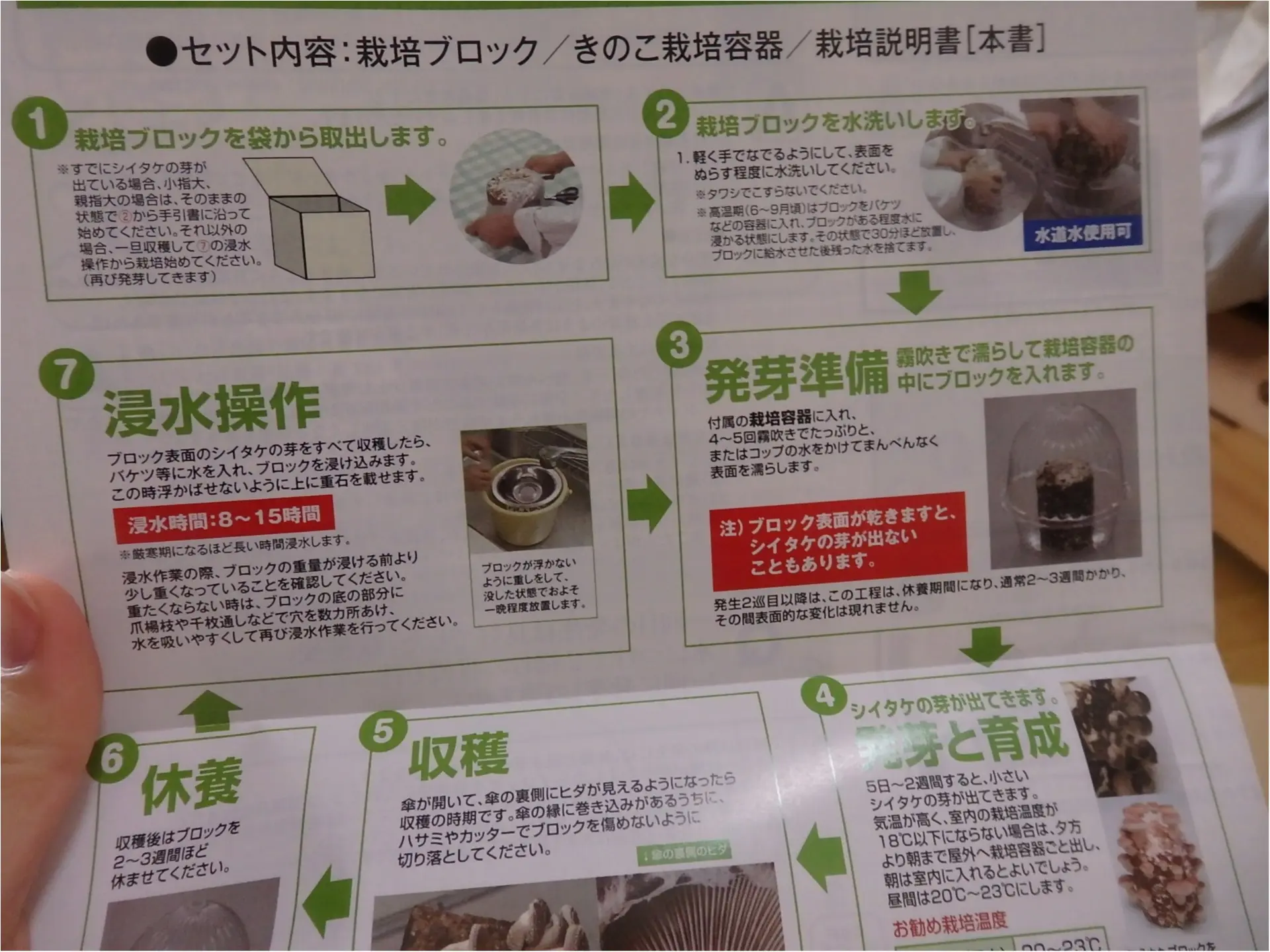 【大量】しいたけ栽培してみました_15