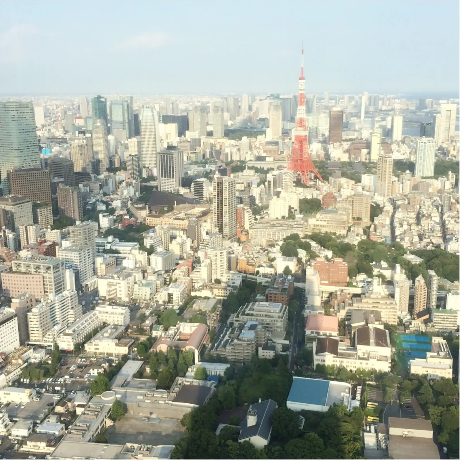 夏はやっぱりジブリ! 「ジブリの大博覧会」に行ってきました♡_1