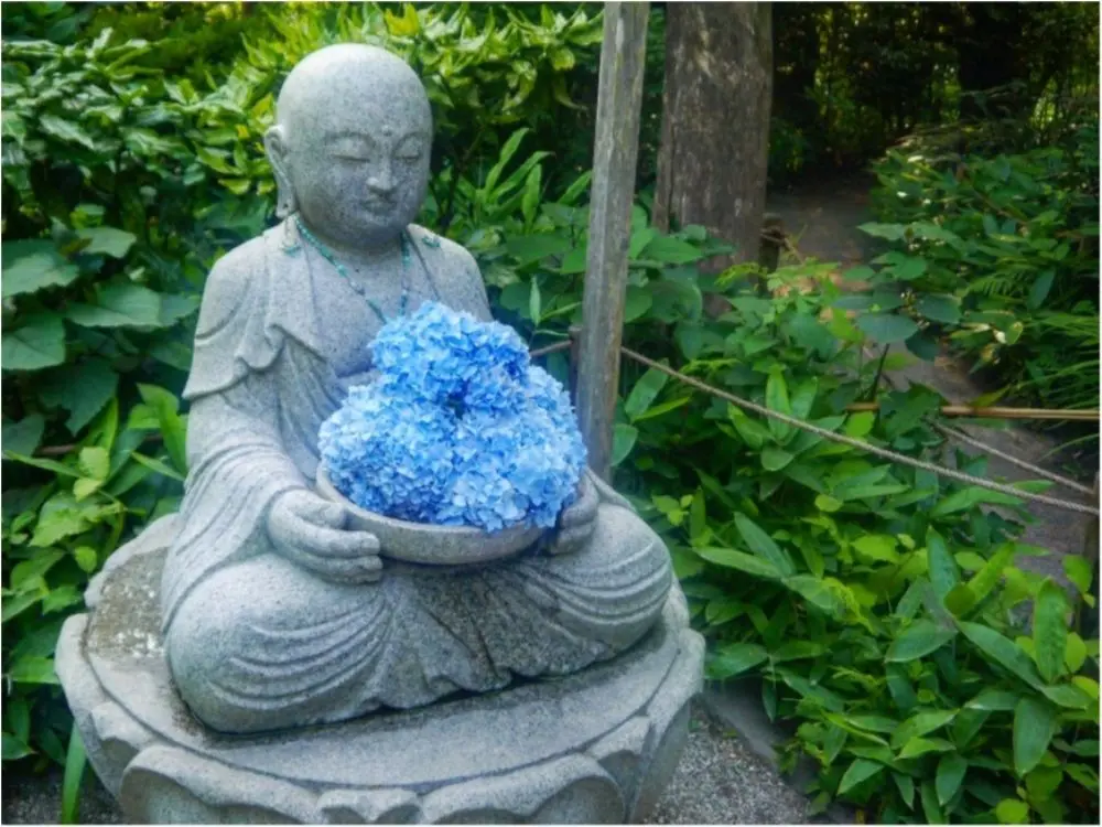 鎌倉の紫陽花名所特集 - 人気のあじさい寺「長谷寺」「名月院」などおすすめスポット_6