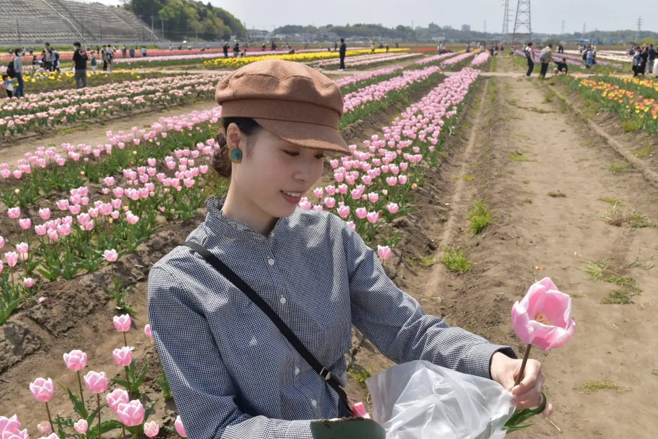 青空とチューリップ♡オランダ風車がシンボルの佐倉ふるさと広場へ!_3