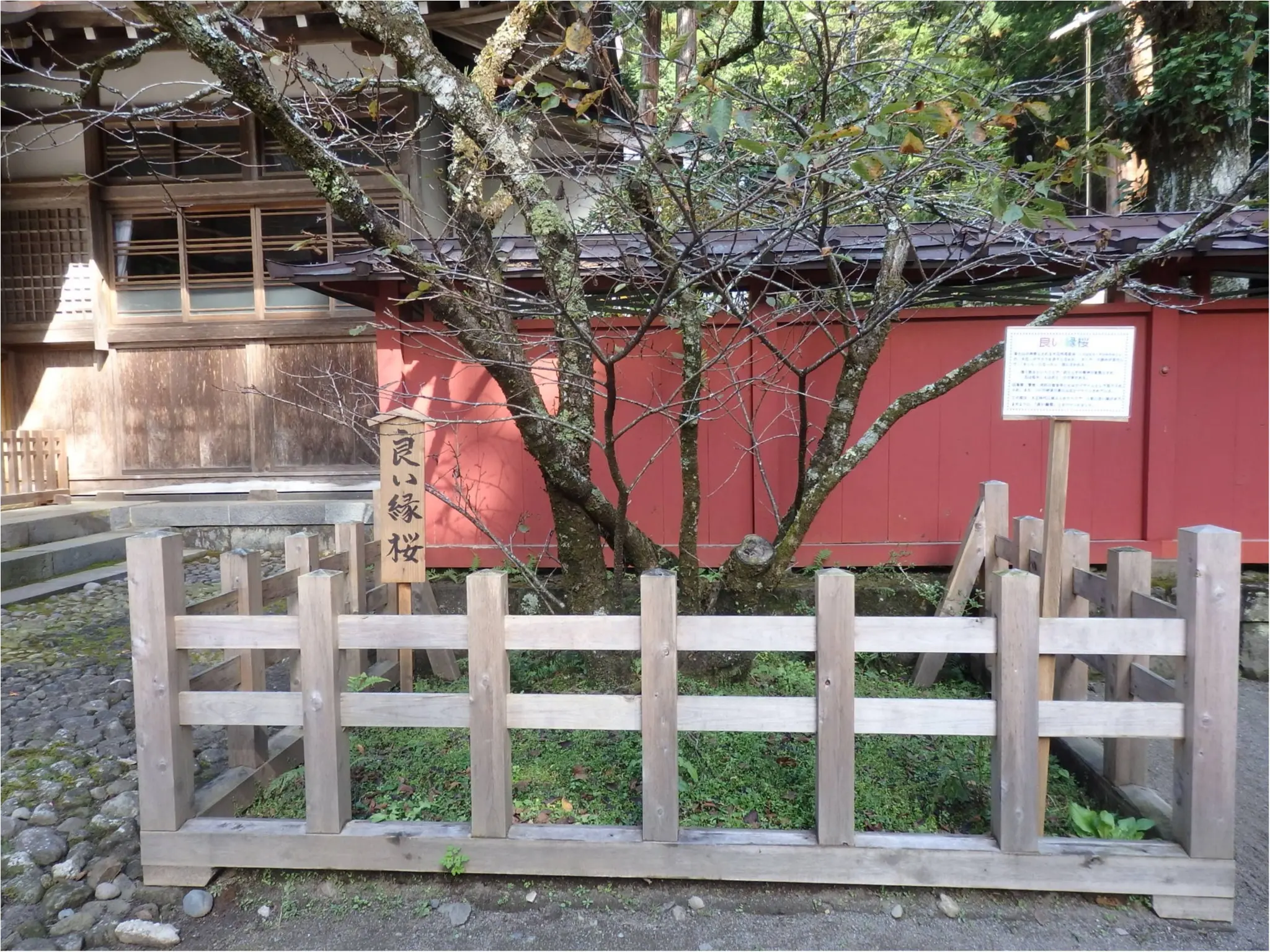【知らなかった!】日本一楽しめる神社へ潜入してみた_14