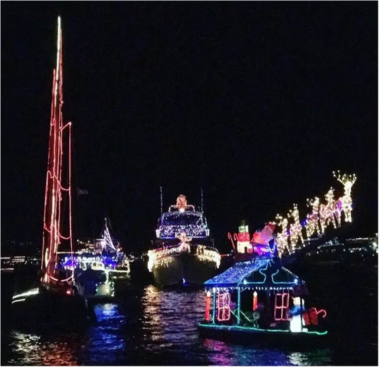 海沿いの家の手作りイルミネーション☆★ロサンゼルスのあったかクリスマス☺︎✨_6