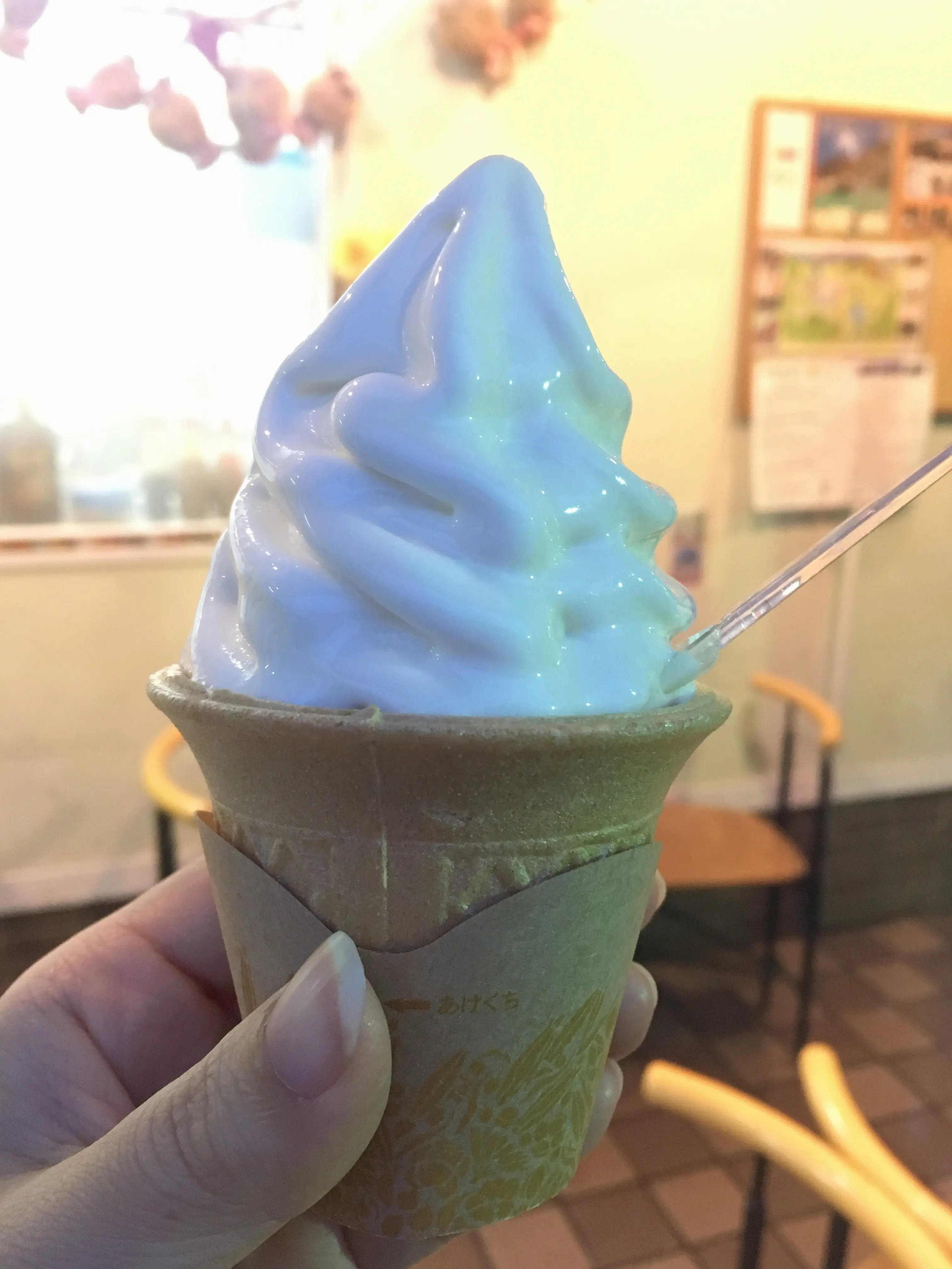 【日帰り旅行】福島に行ったら食べたい絶品グルメ★_5